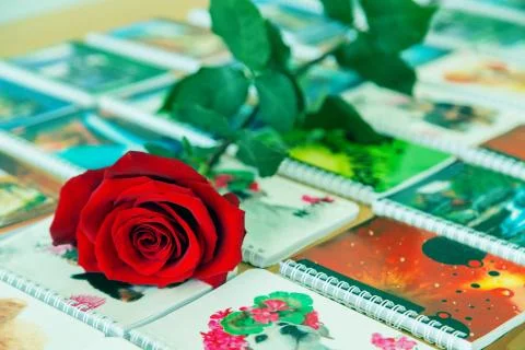 Red rose lying on notebooks on the table Stock Photos