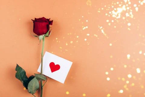 Red rose with message card. Foto stock