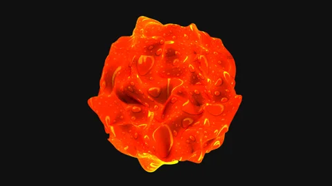 Red rose. motion video Видео 242992167