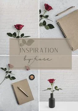 Red rose with notepad and cup of coffee. Carousel Moodboard. Social media Post Stock Photos