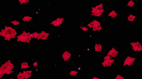 Red rose particle loop animation Stock Footage 168278736