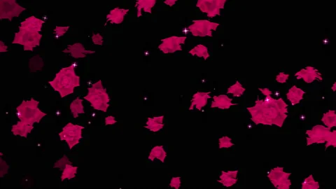 Red rose particle loop animation Stock Footage 168278791