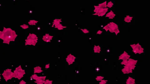 Red rose particle loop animation Stock Footage 168279141