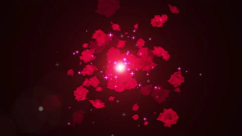 red rose particle loop animation | Stock Video | Pond5