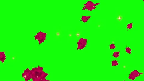 Red rose particle loop animation green screen Stock Footage 168279826