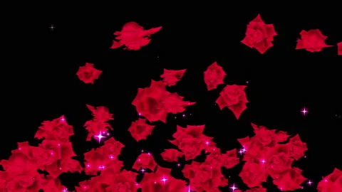 Red rose particle loop animation Stock Footage 168280073