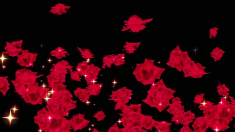 Red rose particle loop animation Stock Footage 168280376