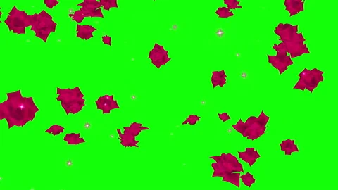 Red rose particle loop animation green screen Stock Footage 168280669
