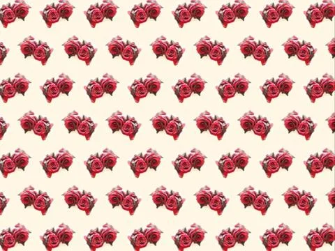 A red rose pattern on a light background Stock Photos