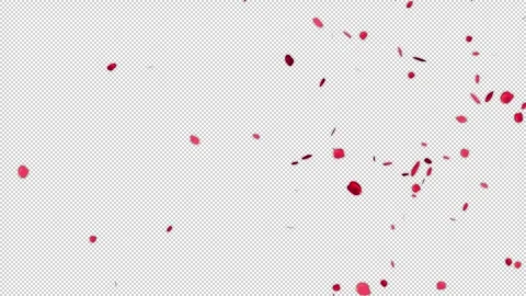 Red Rose Petal falling Alpha Channel Background Stock Footage 250806299