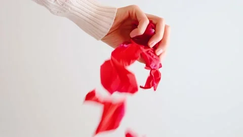 Red rose petals are falling from a woman's hand. Stock Footage 150546466