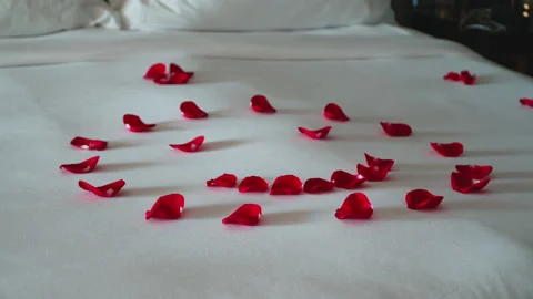 Red rose petals on the bed Видео 170424748