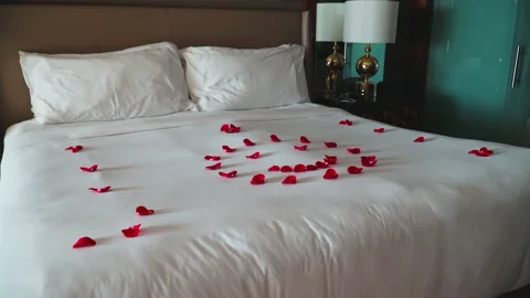 Red rose petals on the bed Stock-Footage 170426001