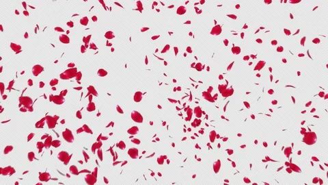 Red Rose Petals Explosion Stock Footage 158913545
