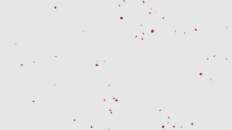 Red Rose Petals Fall on Alpha Channel Stock Footage 286791973
