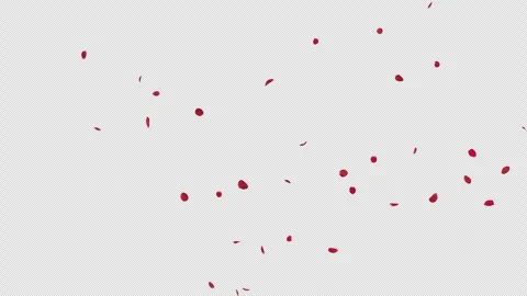 Red Rose Petals Fall on Alpha Channel Stock Footage 289603930