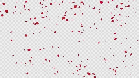 Red Rose Petals Fall on Alpha Channel Stock Footage 295931260