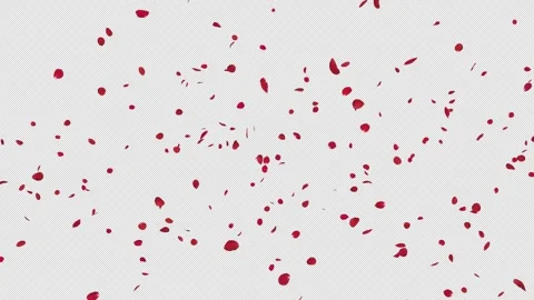 Red Rose Petals Fall on Alpha Channel Stock Footage 295931298