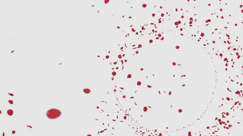 Red Rose Petals Fall on Alpha Channel Stock Footage 300524699