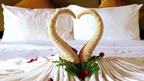 Red rose petals fall on decoration of love from towel - two swan as heart Vídeo Stock 80340557
