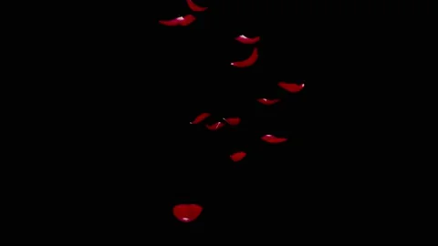 Red rose petals fall to the floor. Black isolated background Stock Footage 145912516