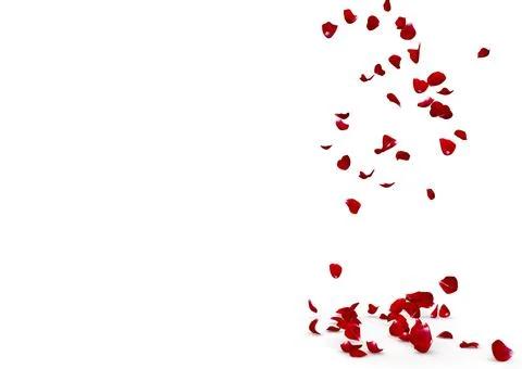 Red rose petals fall to the floor Stock Illustration