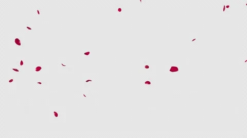 Red Rose Petals Fall Loop Stock Footage 259693925