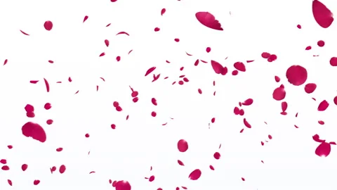 Red Rose Petals Fall on Pastels Background Stock Footage 282437270