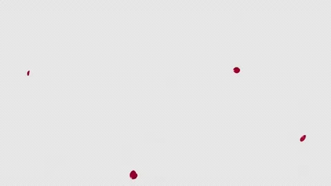 Red Rose Petals Fall on Transparent Alpha Video stock 345774632