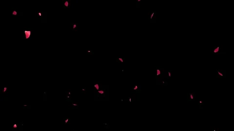 Red rose petals falling animation with alpha channel for romantic scenes Stock Footage 327567857