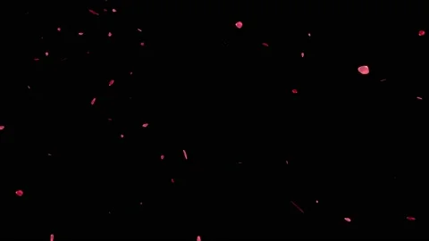 Red rose petals falling down particles motion graphics Stock Footage 150291164