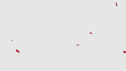 Red Rose Petals Falling Elegant Motion Alpha Stock-Footage 332029770