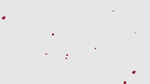 Red Rose Petals Falling Elegant Motion Alpha Vidéo 334320034