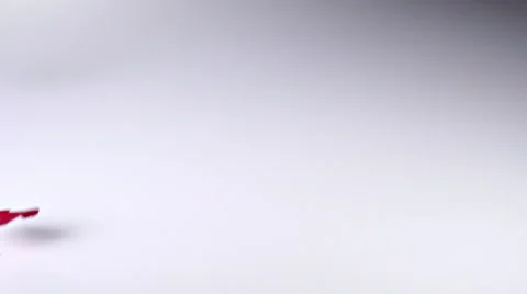 Red Rose Petals Falling Video stock 65429202