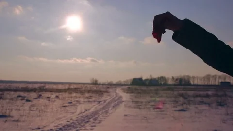 Red rose petals falling Stock Footage 70730937