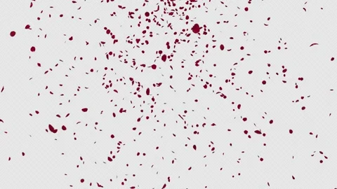 Red Rose Petals Falling 스톡 동영상 224460694