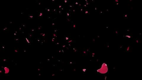 Red rose petals falling gently,romantic animated floral background Stock Footage 313949464