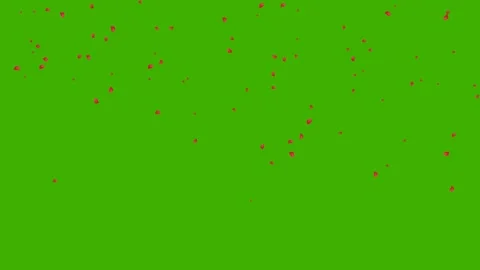 Red rose petals falling on green screen for romantic overlay 4K Vídeos de archivo 336484041