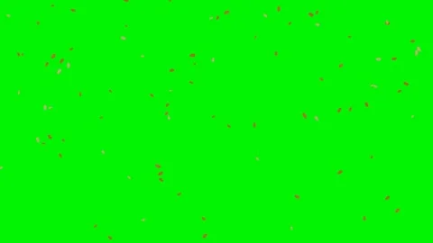 Red rose petals falling on green screen overlay 4K Vídeo Stock 336624890