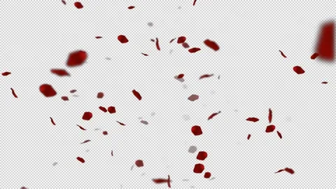 Red rose petals falling from the top of the frame Stock Footage 234868821