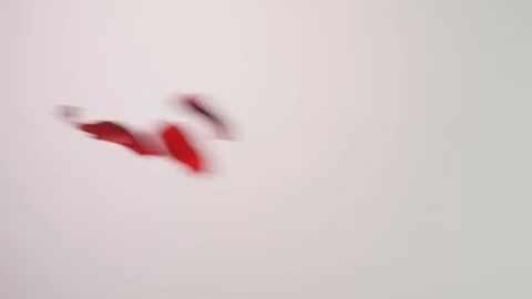 Red rose petals falling on a white background Stock Footage 87549864