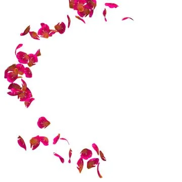 Red rose petals fly in a circle. The center free space for Your photos or tex Stock Illustration