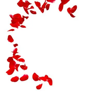 Red rose petals fly in a circle. The center free space for Your photos or tex Stock Illustration