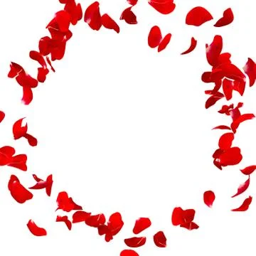 Red rose petals fly in a circle. The center free space for Your photos or tex Stock Illustration