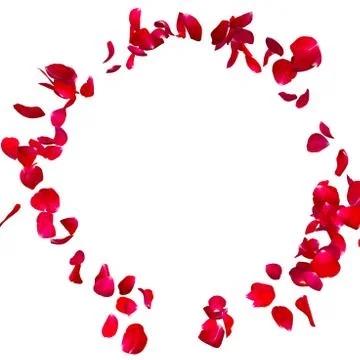 Red rose petals fly in a circle. The center free space for Your photos or tex Stock Illustration