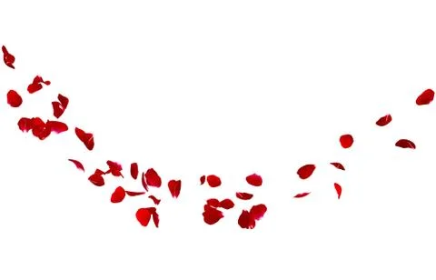 Red rose petals fly in a circle. The center free space for Your photos or tex Stock Illustration
