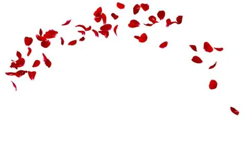 Red rose petals fly in a circle. The center free space for Your photos or tex Stock Illustration