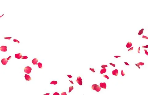 Red rose petals fly in a circle. The center free space for Your photos or tex Stock Illustration