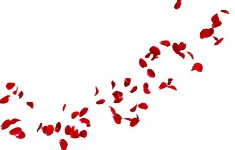 Red rose petals fly in a circle. The center free space for Your photos or tex Stock Illustration