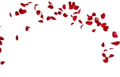 Red rose petals fly in a circle. The center free space for Your photos or tex Stock Illustration